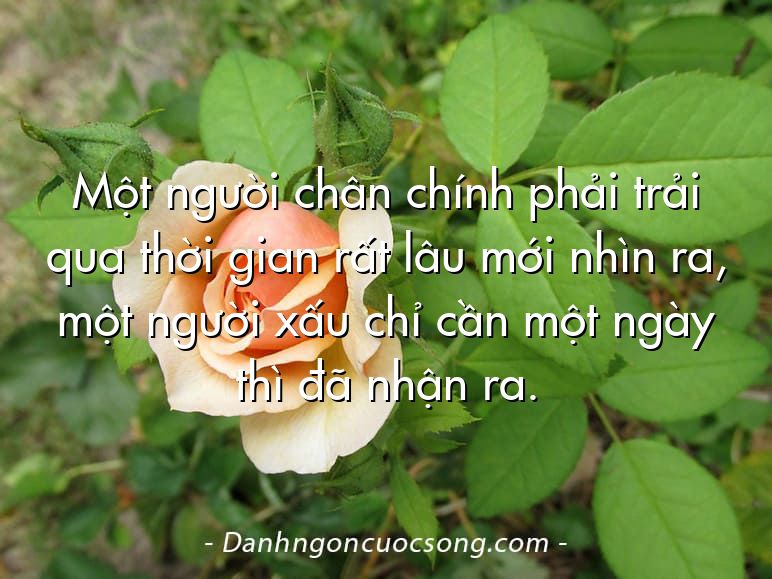 Một người chân chính phải trải qua thời gian rất lâu mới nhìn ra, một người xấu chỉ cần một ngày thì đã nhận ra.