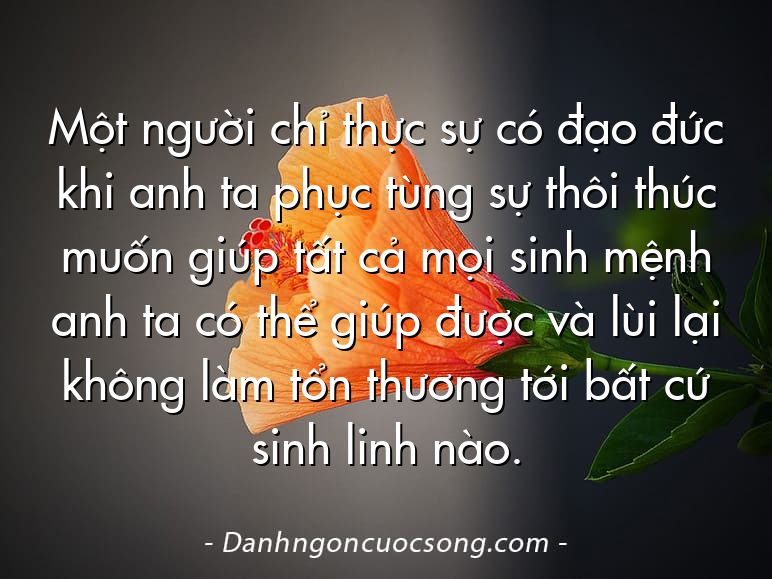 Một người chỉ thực sự có đạo đức khi anh ta phục tùng sự thôi thúc muốn giúp tất cả mọi sinh mệnh anh ta có thể giúp được và lùi lại không làm tổn thương tới bất cứ sinh linh nào.