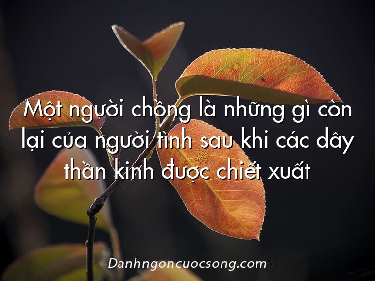 Một người chồng là những gì còn lại của người tình sau khi các dây thần kinh được chiết xuất