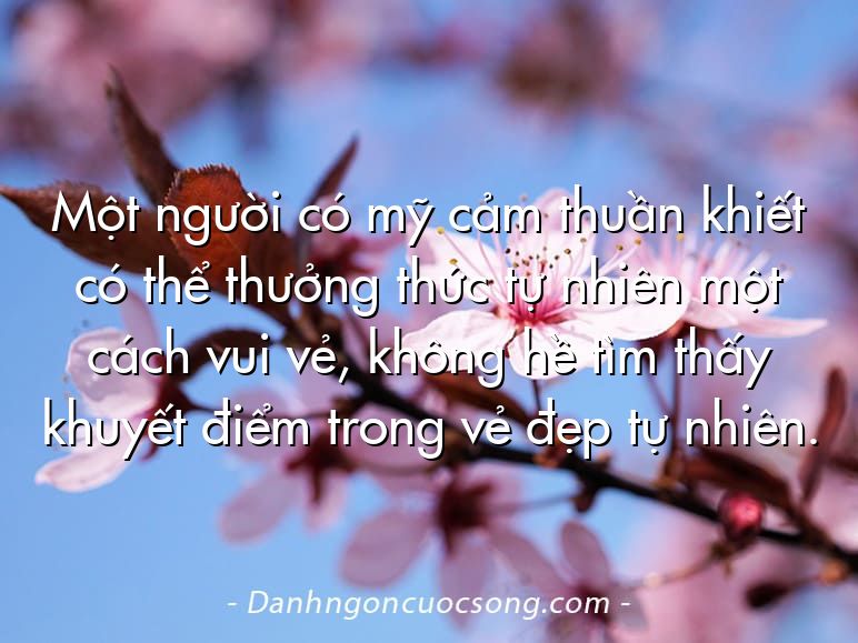 Một người có mỹ cảm thuần khiết có thể thưởng thức tự nhiên một cách vui vẻ, không hề tìm thấy khuyết điểm trong vẻ đẹp tự nhiên.