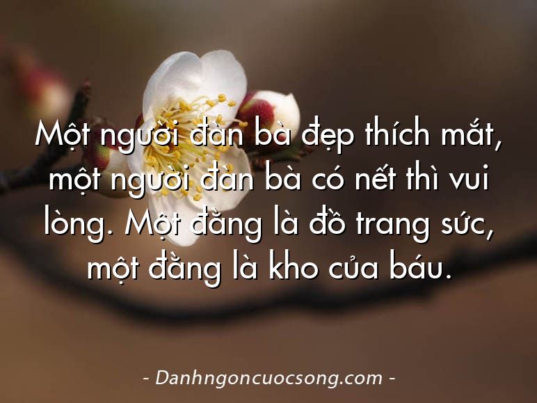 Một người đàn bà đẹp thích mắt, một người đàn bà có nết thì vui lòng. Một đằng là đồ trang sức, một đằng là kho của báu.