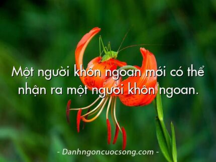 Một người khôn ngoan mới có thể nhận ra một người khôn ngoan.