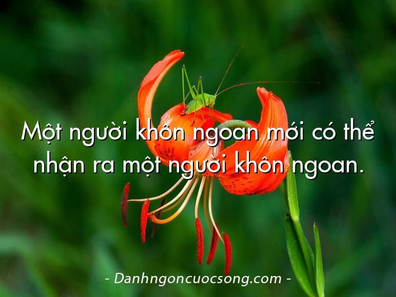 Một người khôn ngoan mới có thể nhận ra một người khôn ngoan.