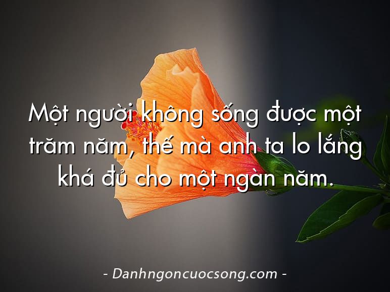 Một người không sống được một trăm năm, thế mà anh ta lo lắng khá đủ cho một ngàn năm.