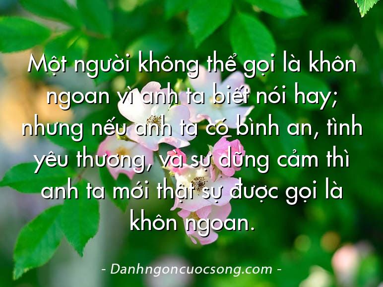 Một người không thể gọi là khôn ngoan vì anh ta biết nói hay; nhưng nếu anh ta có bình an, tình yêu thương, và sự dũng cảm thì anh ta mới thật sự được gọi là khôn ngoan.