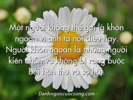 Một người không thể gọi là khôn ngoan vì anh ta nói điều hay. Người khôn ngoan là những người kiên nhẫn và không bị ràng buộc bởi hận thù và sợ hãi.