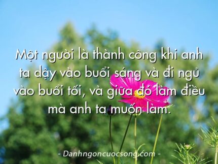 Một người là thành công khi anh ta dậy vào buổi sáng và đi ngủ vào buổi tối, và giữa đó làm điều mà anh ta muốn làm.