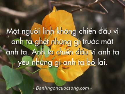 Một người lính không chiến đấu vì anh ta ghét những gì trước mặt anh ta. Anh ta chiến đấu vì anh ta yêu những gì anh ta bỏ lại.