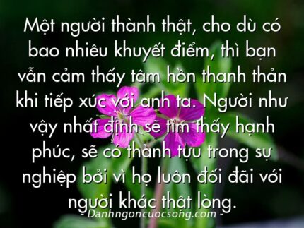 Một người thành thật, cho dù có bao nhiêu khuyết điểm, thì bạn vẫn cảm thấy tâm hồn thanh thản khi tiếp xúc với anh ta. Người như vậy nhất định sẽ tìm thấy hạnh phúc, sẽ có thành tựu trong sự nghiệp bởi vì họ luôn đối đãi với người khác thật lòng.