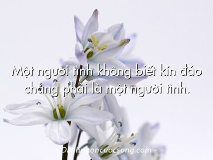 Một người tình không biết kín đáo chẳng phải là một người tình.