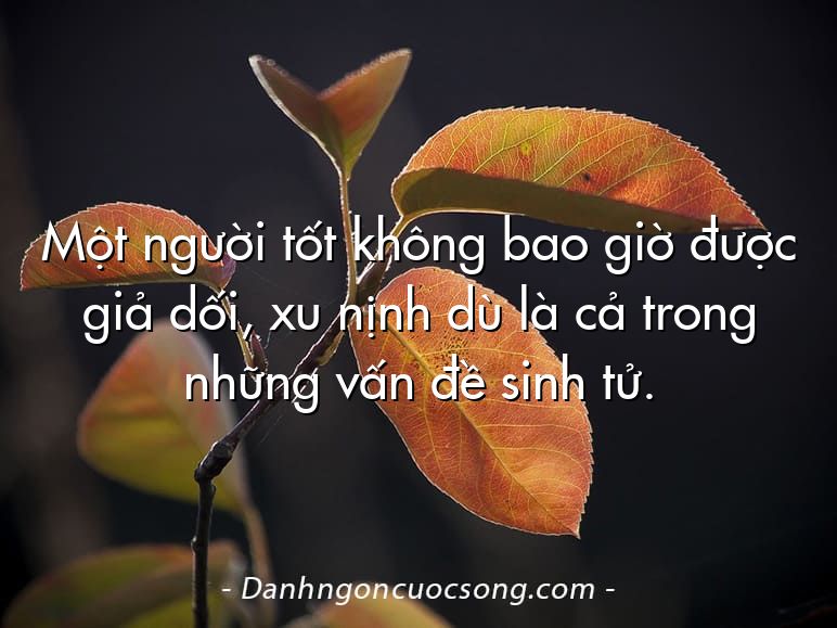 Một người tốt không bao giờ được giả dối, xu nịnh dù là cả trong những vấn đề sinh tử.