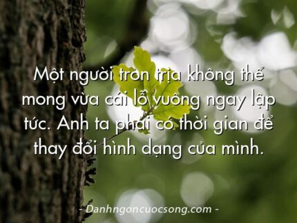 Một người tròn trịa không thể mong vừa cái lỗ vuông ngay lập tức. Anh ta phải có thời gian để thay đổi hình dạng của mình.