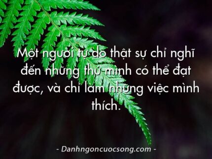 Một người tự do thật sự chỉ nghĩ đến những thứ mình có thể đạt được, và chỉ làm những việc mình thích.