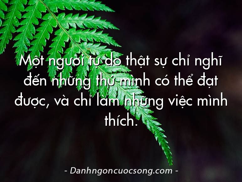 Một người tự do thật sự chỉ nghĩ đến những thứ mình có thể đạt được, và chỉ làm những việc mình thích.