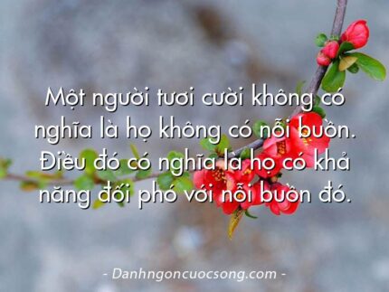 Một người tươi cười không có nghĩa là họ không có nỗi buồn. Điều đó có nghĩa là họ có khả năng đối phó với nỗi buồn đó.