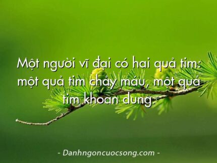 Một người vĩ đại có hai quả tim: một quả tim chảy máu, một quả tim khoan dung.