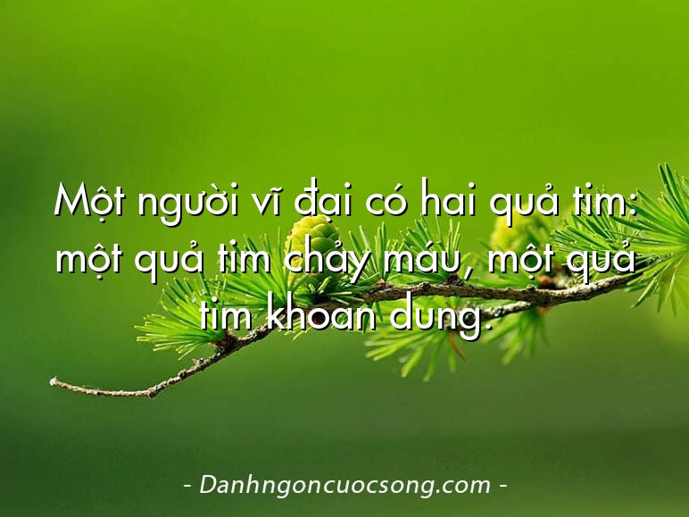 Một người vĩ đại có hai quả tim: một quả tim chảy máu, một quả tim khoan dung.