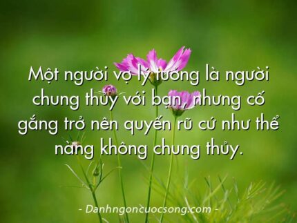 Một người vợ lý tưởng là người chung thủy với bạn, nhưng cố gắng trở nên quyến rũ cứ như thể nàng không chung thủy.