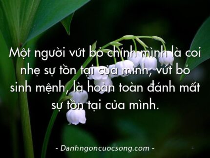 Một người vứt bỏ chính mình là coi nhẹ sự tồn tại của mình; vứt bỏ sinh mệnh, là hoàn toàn đánh mất sự tồn tại của mình.