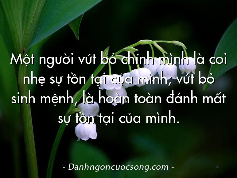 Một người vứt bỏ chính mình là coi nhẹ sự tồn tại của mình; vứt bỏ sinh mệnh, là hoàn toàn đánh mất sự tồn tại của mình.