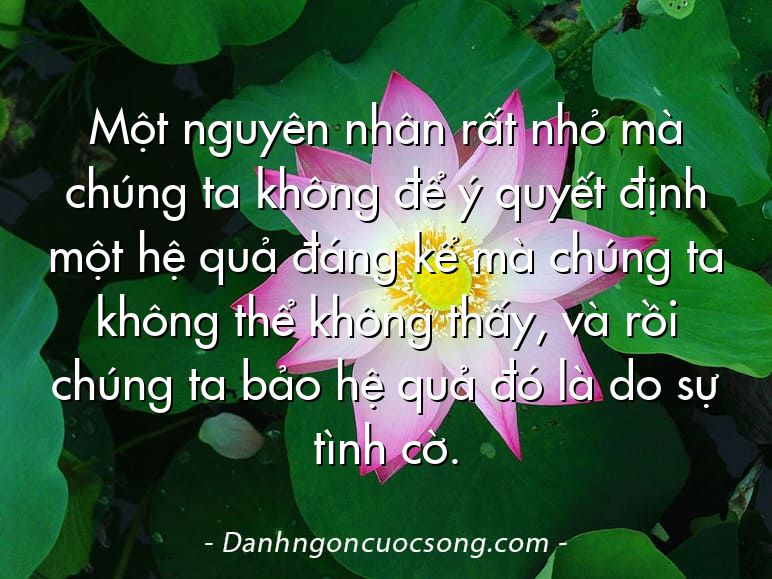 Một nguyên nhân rất nhỏ mà chúng ta không để ý quyết định một hệ quả đáng kể mà chúng ta không thể không thấy, và rồi chúng ta bảo hệ quả đó là do sự tình cờ.