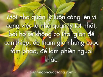 Một nhà quản lý luôn căng lên vì công việc là nhà quản lý tốt nhất, bởi họ sẽ không có thời gian để can thiệp, để tham gia những cuộc tầm phào, để làm phiền người khác.