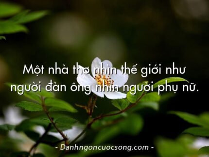 Một nhà thơ nhìn thế giới như người đàn ông nhìn người phụ nữ.