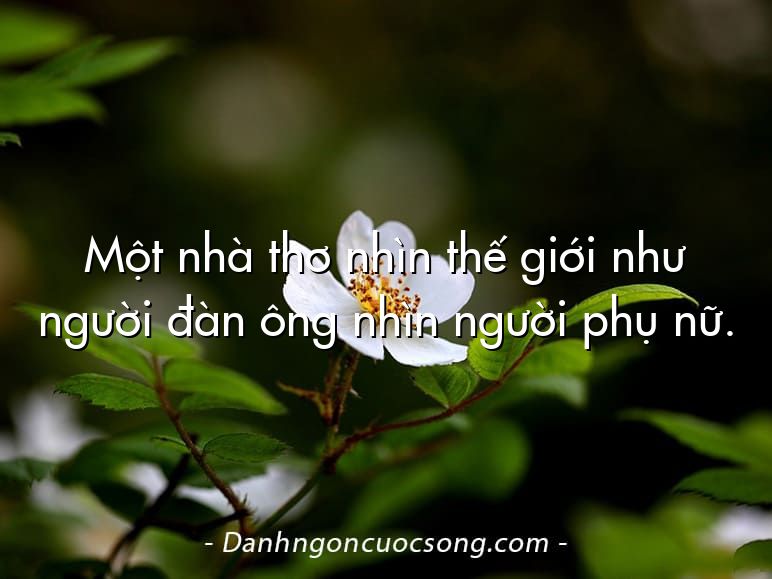 Một nhà thơ nhìn thế giới như người đàn ông nhìn người phụ nữ.