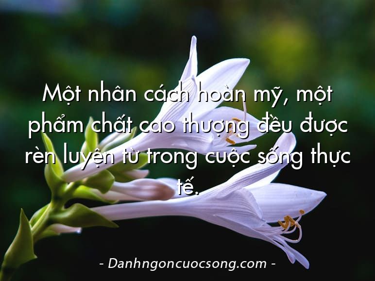 Một nhân cách hoàn mỹ, một phẩm chất cao thượng đều được rèn luyện từ trong cuộc sống thực tế.