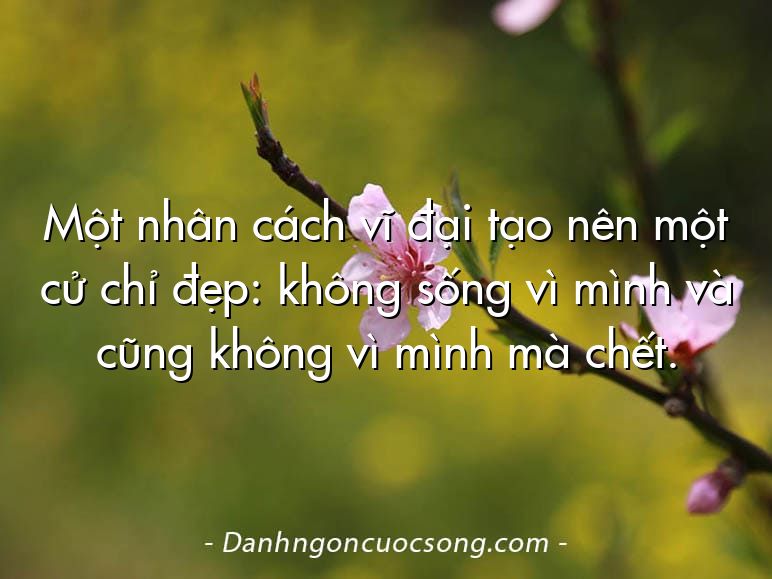 Một nhân cách vĩ đại tạo nên một cử chỉ đẹp: không sống vì mình và cũng không vì mình mà chết.