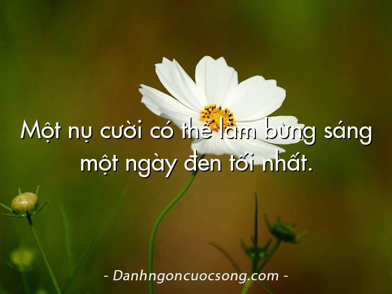 Một nụ cười có thể làm bừng sáng một ngày đen tối nhất.