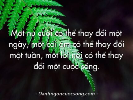 Một nụ cười có thể thay đổi một ngày, một cái ôm có thể thay đổi một tuần, một lời nói có thể thay đổi một cuộc sống.