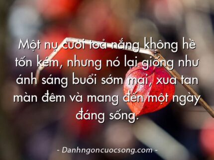 Một nụ cười toả nắng không hề tốn kém, nhưng nó lại giống như ánh sáng buổi sớm mai, xua tan màn đêm và mang đến một ngày đáng sống.