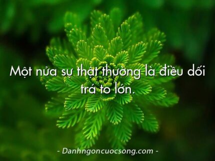 Một nửa sự thật thường là điều dối trá to lớn.