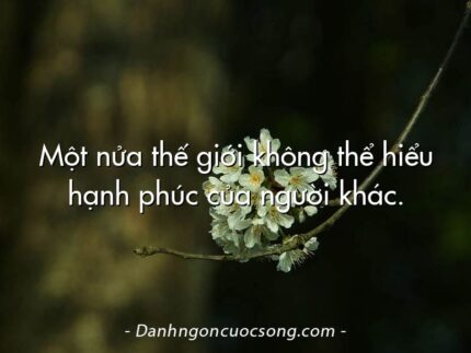 Một nửa thế giới không thể hiểu hạnh phúc của người khác.