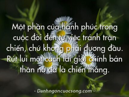 Một phần của hạnh phúc trong cuộc đời đến từ việc tránh trận chiến, chứ không phải đương đầu. Rút lui một cách tài giỏi chính bản thân nó đã là chiến thắng.