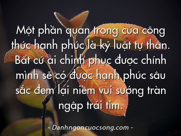 Một phần quan trọng của công thức hạnh phúc là kỷ luật tự thân. Bất cứ ai chinh phục được chính mình sẽ có được hạnh phúc sâu sắc đem lại niềm vui sướng tràn ngập trái tim.