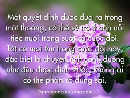 Một quyết định được đưa ra trong một thoáng, có thể sẽ trở thành nỗi tiếc nuối trong suốt cả cuộc đời. Tất cả mọi thứ trong cuộc đời này, đặc biệt là chuyện tình cảm, dường như đều được định trước, không ai có thể phân rõ đúng sai.