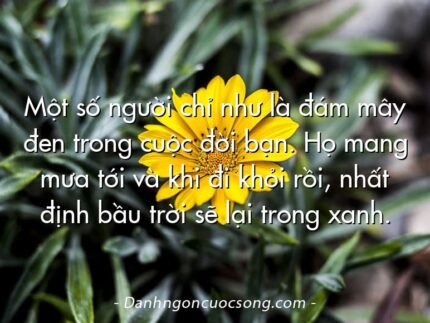 Một số người chỉ như là đám mây đen trong cuộc đời bạn. Họ mang mưa tới và khi đi khỏi rồi, nhất định bầu trời sẽ lại trong xanh.