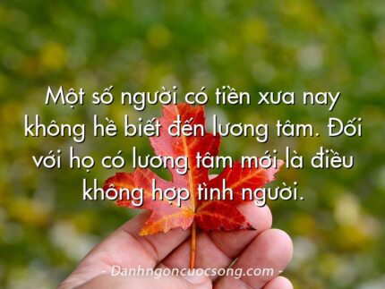 Một số người có tiền xưa nay không hề biết đến lương tâm. Đối với họ có lương tâm mới là điều không hợp tình người.