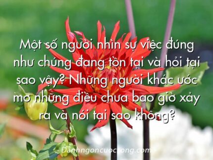 Một số người nhìn sự việc đúng như chúng đang tồn tại và hỏi tại sao vậy? Những người khác ước mơ những điều chưa bao giờ xảy ra và nói tại sao không?
