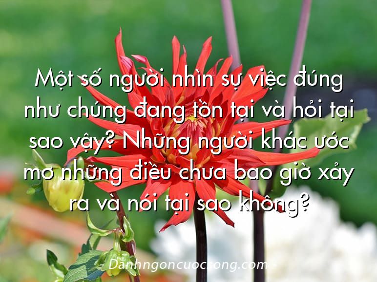 Một số người nhìn sự việc đúng như chúng đang tồn tại và hỏi tại sao vậy? Những người khác ước mơ những điều chưa bao giờ xảy ra và nói tại sao không?