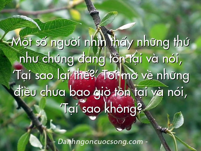 Một số người nhìn thấy những thứ như chúng đang tồn tại và nói, ‘Tại sao lại thế?’ Tôi mơ về những điều chưa bao giờ tồn tại và nói, ‘Tại sao không?