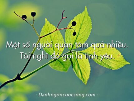 Một số người quan tâm quá nhiều. Tôi nghĩ đó gọi là tình yêu.