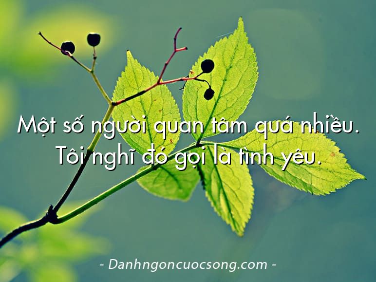 Một số người quan tâm quá nhiều. Tôi nghĩ đó gọi là tình yêu.