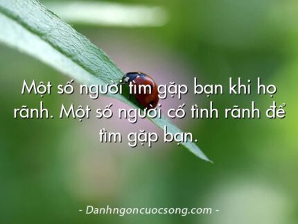 Một số người tìm gặp bạn khi họ rãnh. Một số người cố tình rãnh để tìm gặp bạn.