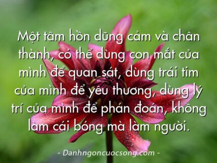 Một tâm hồn dũng cảm và chân thành, có thể dùng con mắt của mình để quan sát, dùng trái tim của mình để yêu thương, dùng lý trí của mình để phán đoán, không làm cái bóng mà làm người.