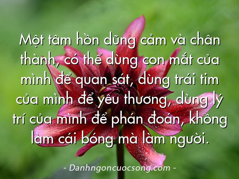 Một tâm hồn dũng cảm và chân thành, có thể dùng con mắt của mình để quan sát, dùng trái tim của mình để yêu thương, dùng lý trí của mình để phán đoán, không làm cái bóng mà làm người.
