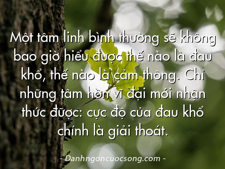 Một tâm linh bình thường sẽ không bao giờ hiểu được thế nào là đau khổ, thế nào là cảm thông. Chỉ những tâm hồn vĩ đại mới nhận thức đữợc: cực độ của đau khổ chính là giải thoát.