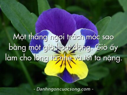 Một tháng ngơi trách móc sao bằng một giờ hoạt động. Giờ ấy làm cho lòng ta nhẹ và túi ta nặng.